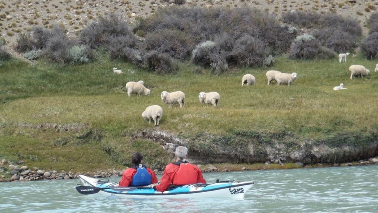 Darwin Experience - Kayaks And Adventure (7)
