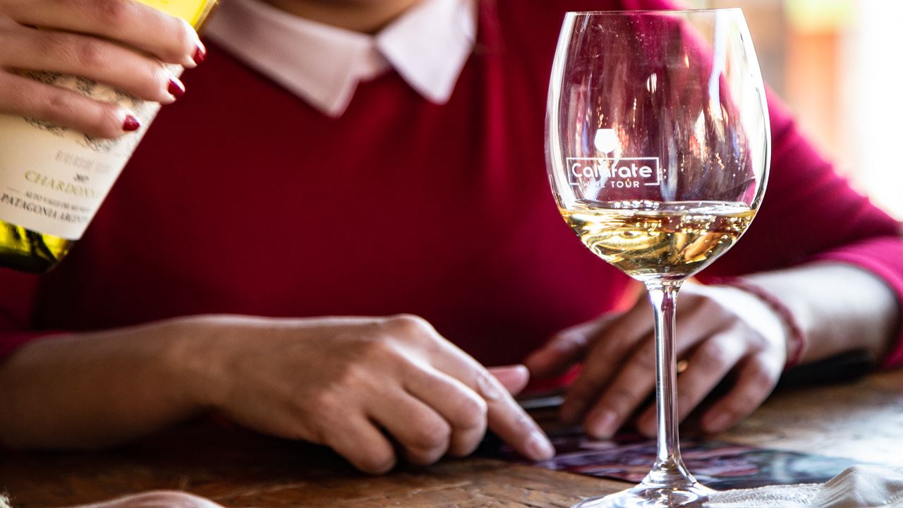 Degustação De Vinhos (3)