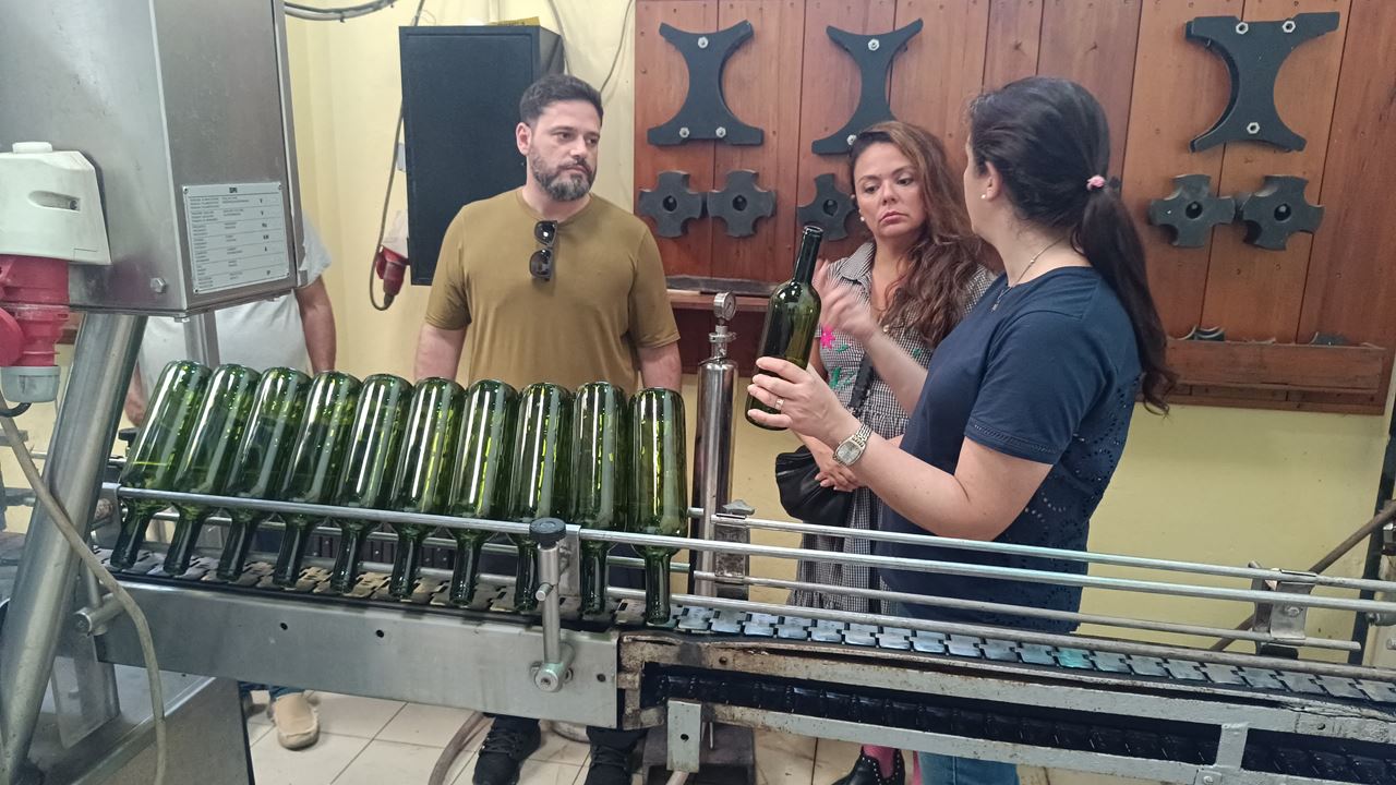 Prova De Vinhos Na Adega Santa Rosa (1)