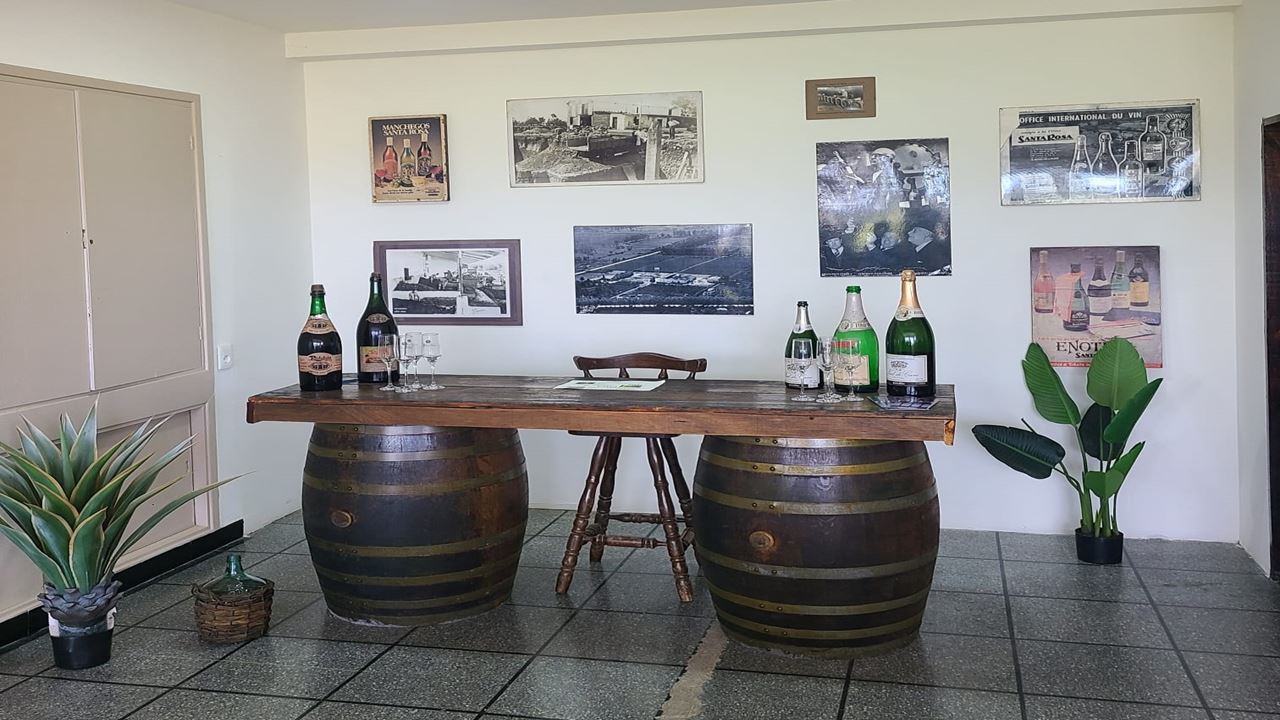 Prova De Vinhos Na Adega Santa Rosa (6)