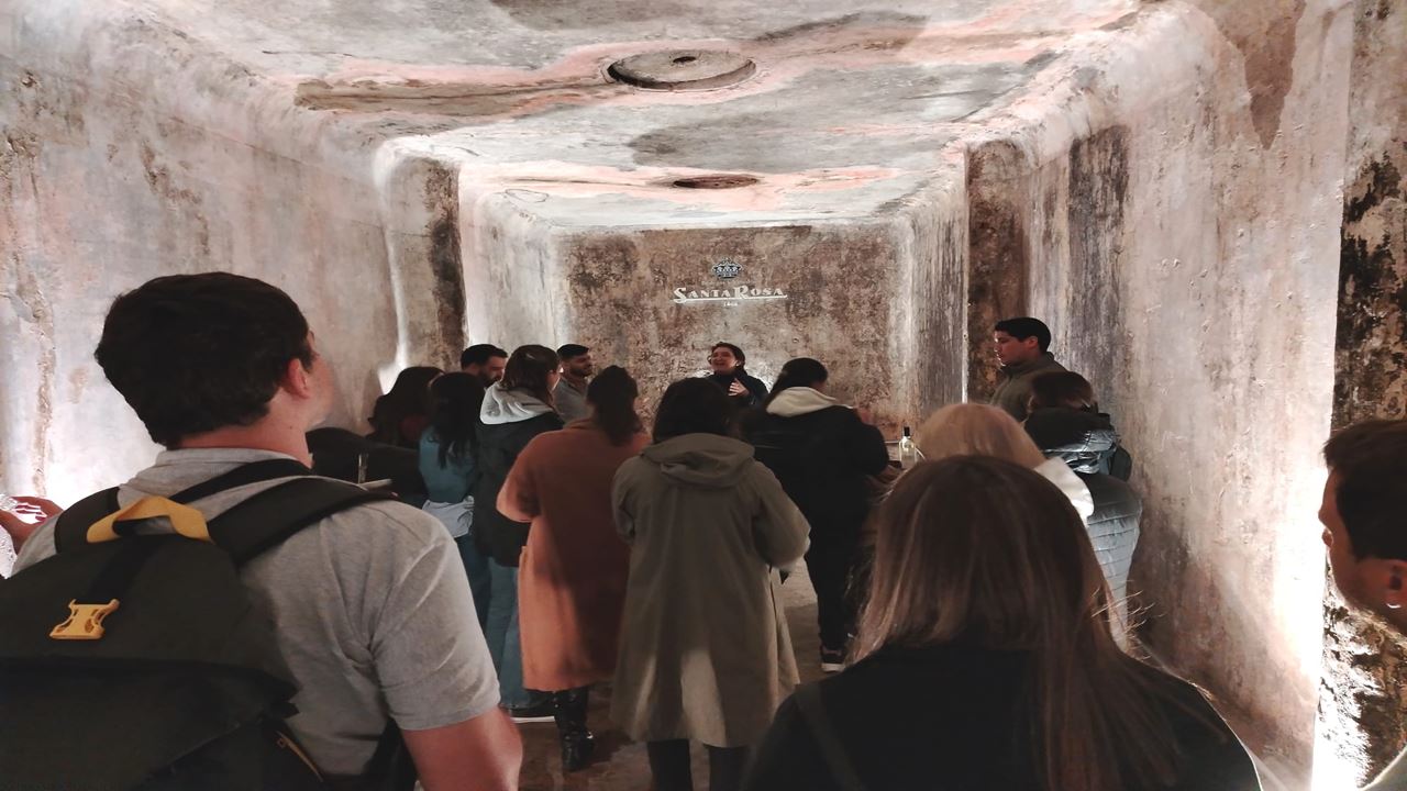 Prova De Vinhos Na Adega Santa Rosa (8)