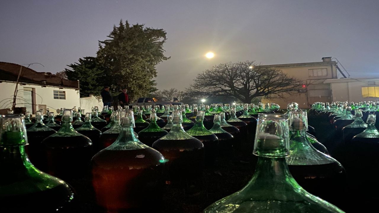 Prova De Vinhos Na Adega Santa Rosa (5)