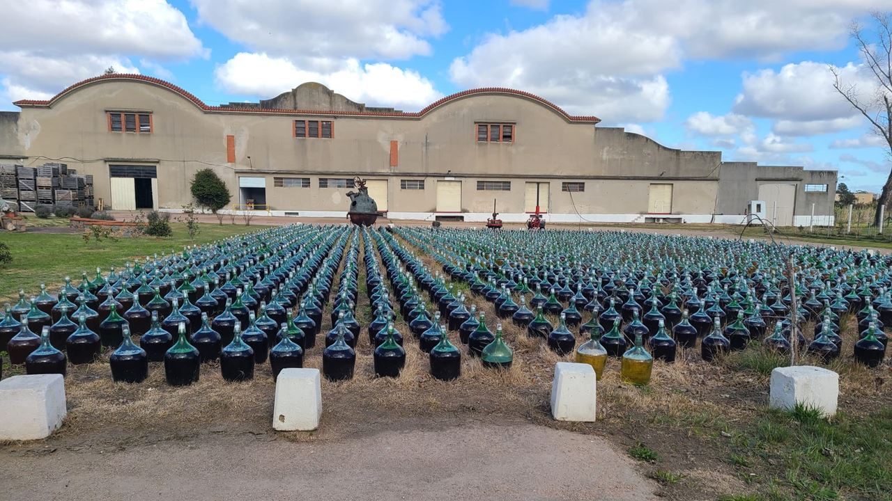 Prova De Vinhos Na Adega Santa Rosa (7)