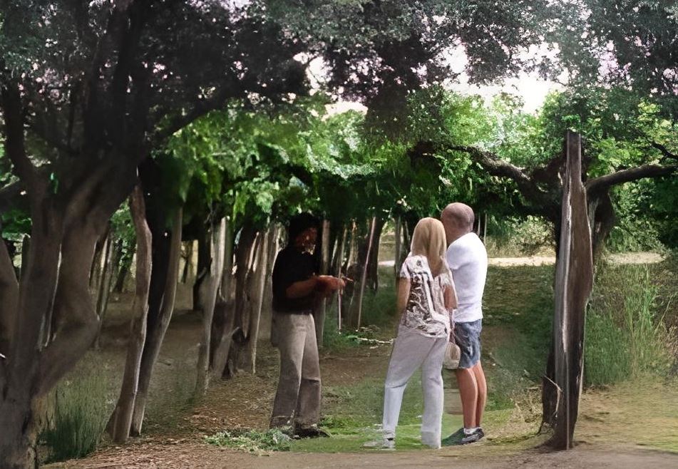 Degustação De Vinhos E Queijos Premium foto 4