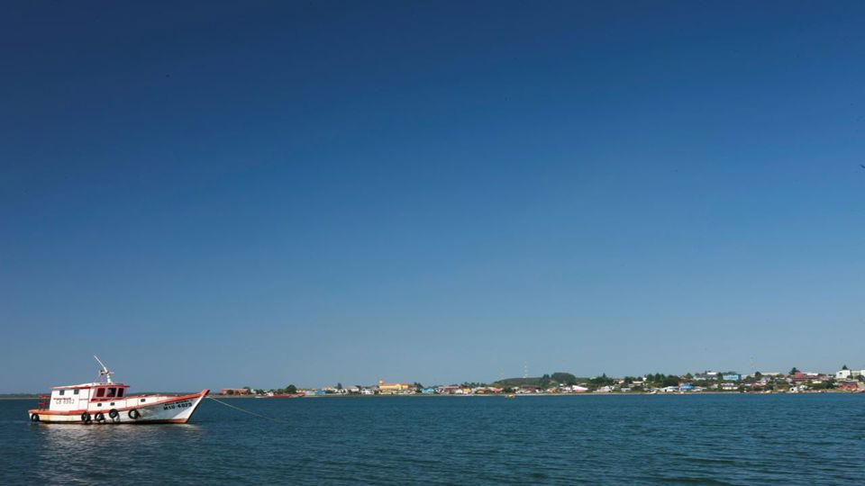 Descubra Ancud E A Colônia De Pinguins De Puñihuil foto 4
