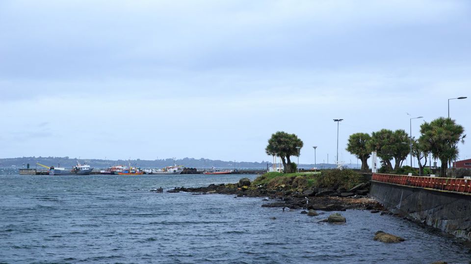 Descubra Ancud E A Colônia De Pinguins De Puñihuil foto 6
