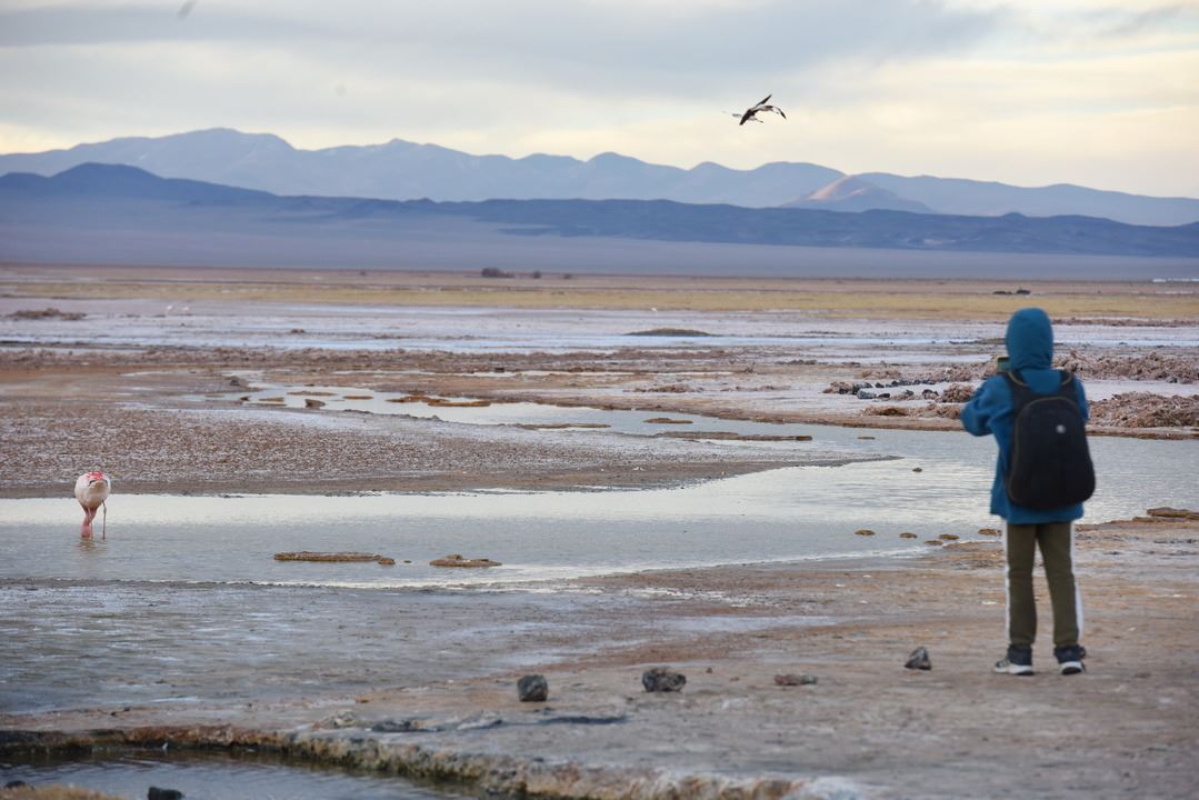 Full Day To The Piedra Pomez Field In Private foto 10