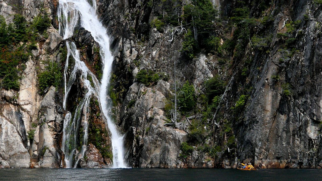 Full Day Kayaking Along The Tristeza Arm (0)