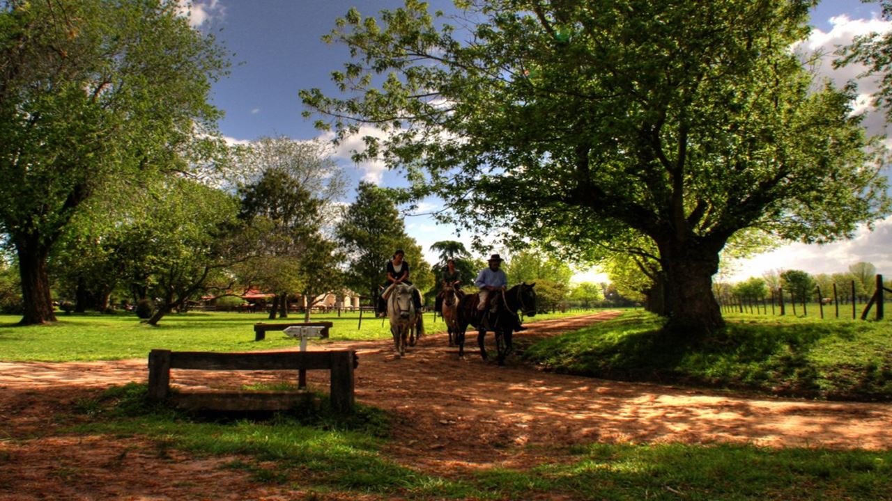 Dia De Campo En Estancia El Ombu De Areco (2)
