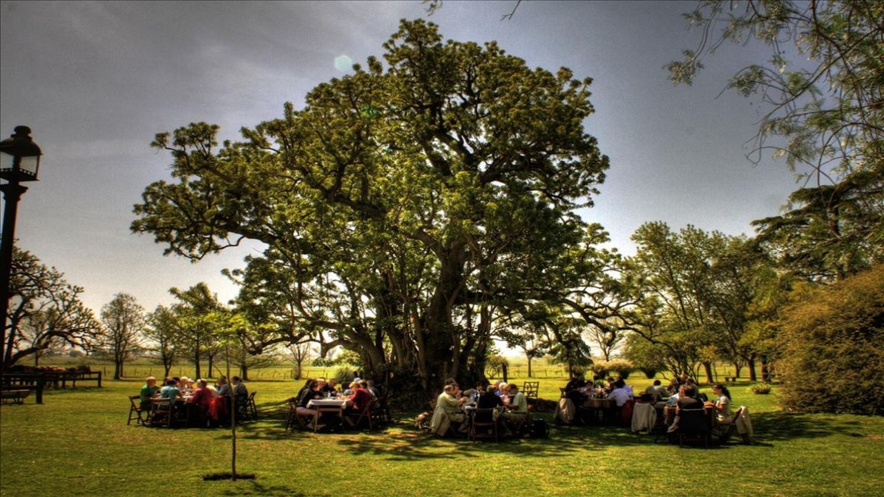 Dia De Campo En Estancia El Ombu De Areco (1)