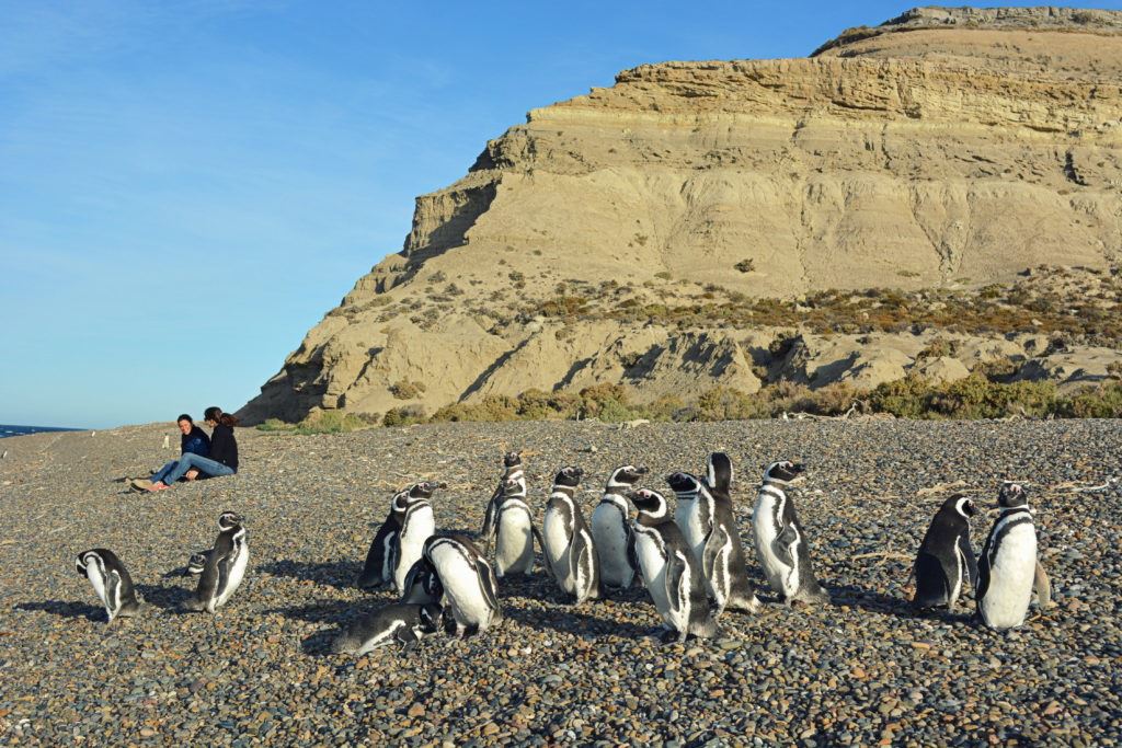 Field Day And Visit To Penguin Colony (5)