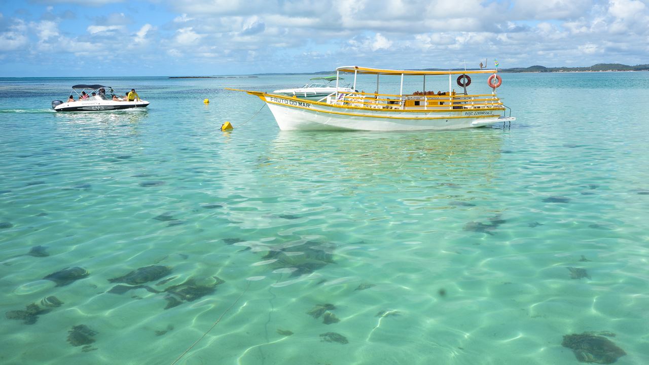 Dia Na Praia Em Maragogi Desde Porto De Galinhas foto 5