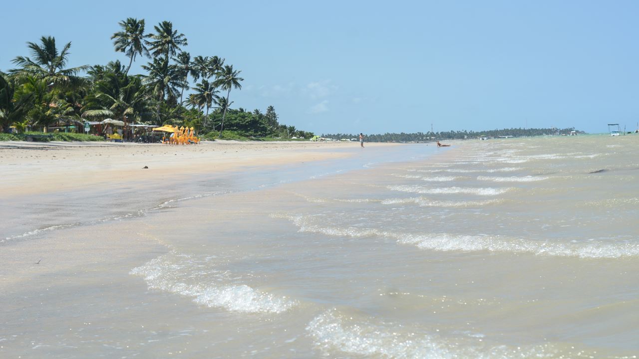 Beach Day In Maragogi From Recife foto 1