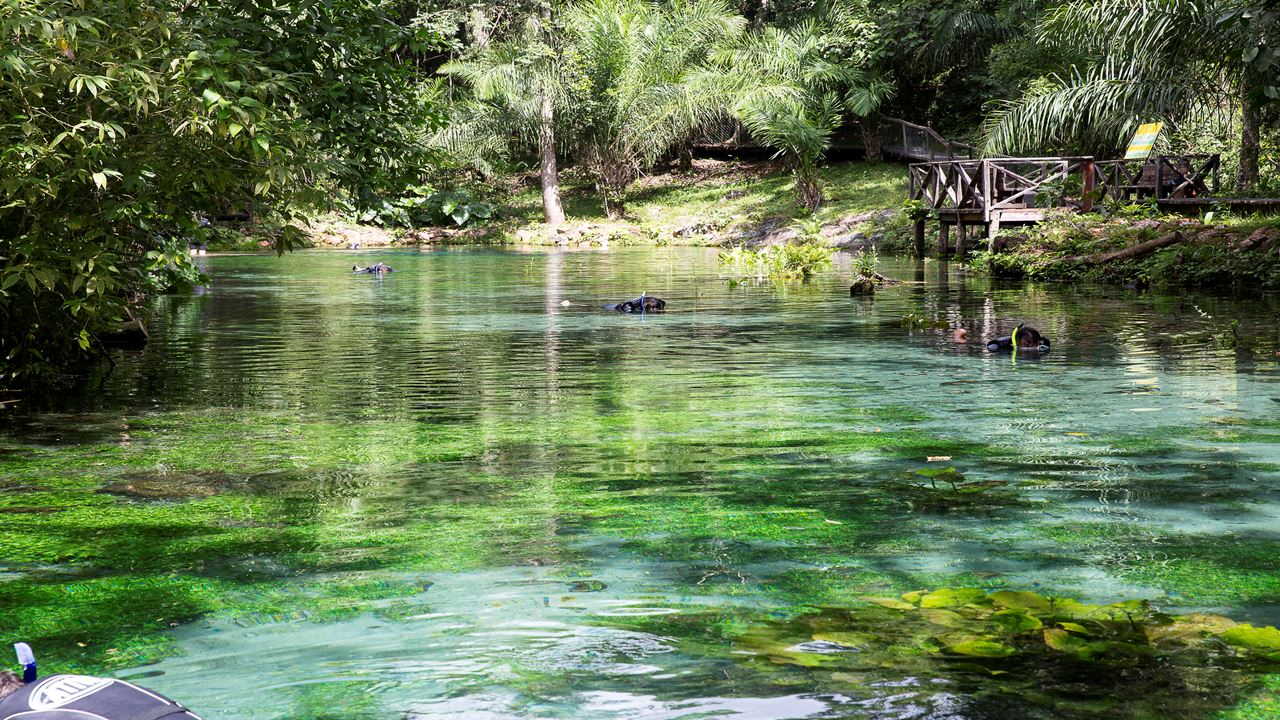 Dia No Balneario Do Sol foto 1