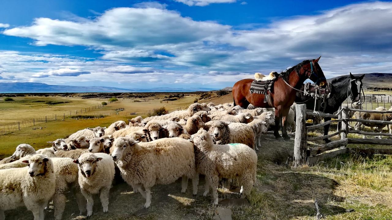 The Glacier Warehouse - Estancia De La Patagonia (7)