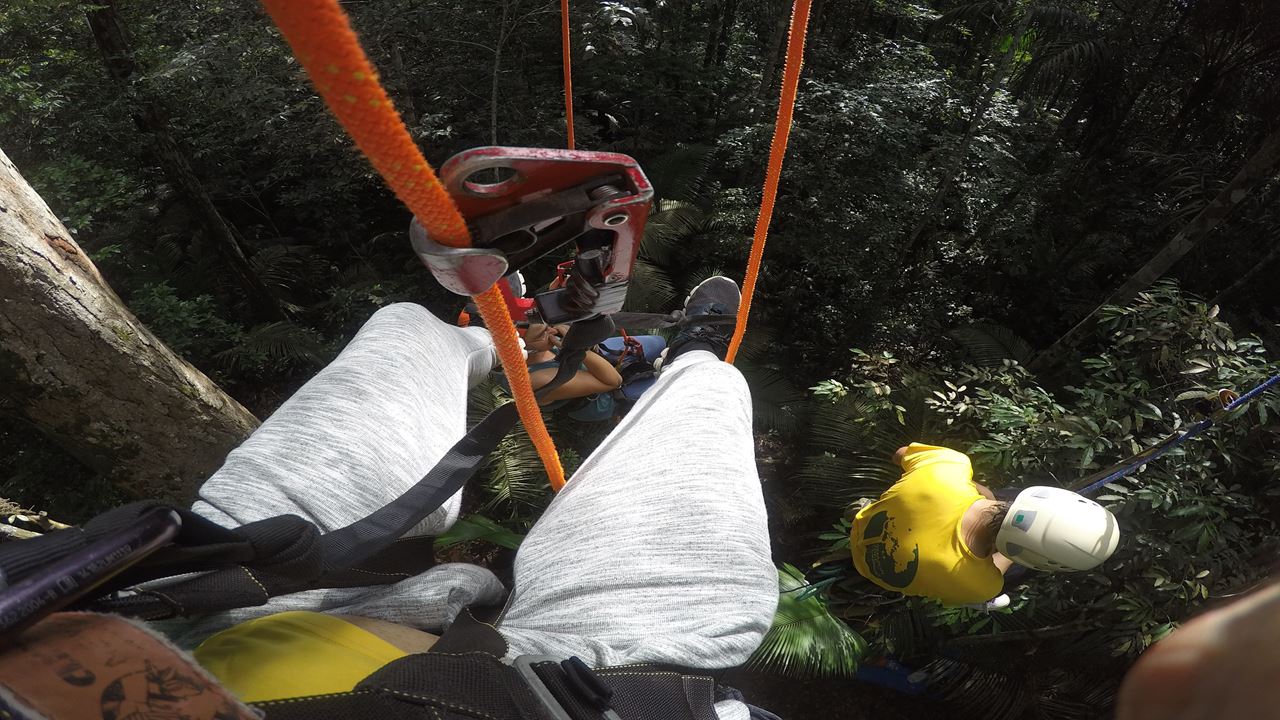 Tree Climbing In Amazon
 (2)