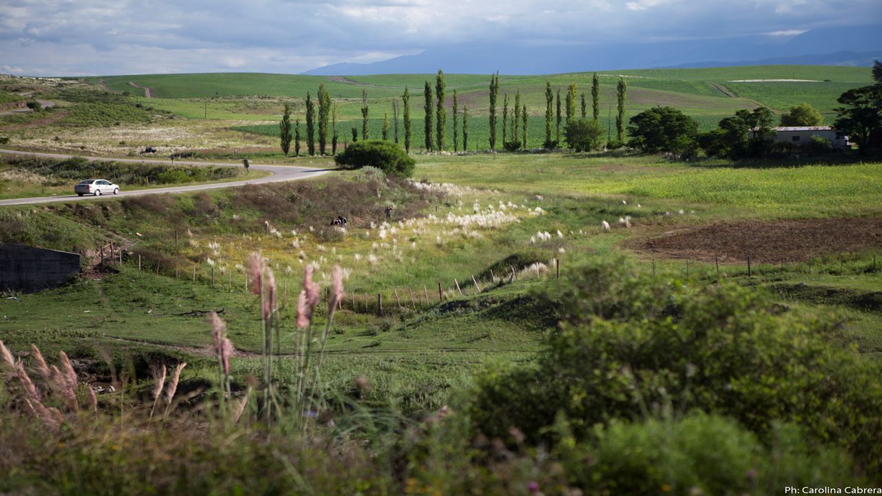 Excursion To Balcozna And Cuesta De Singuil (1)