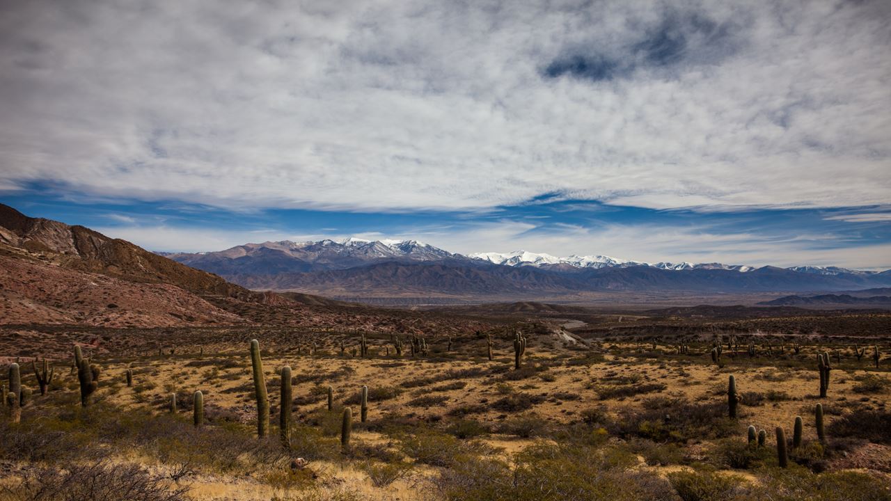 Excursion To Cachi (5)