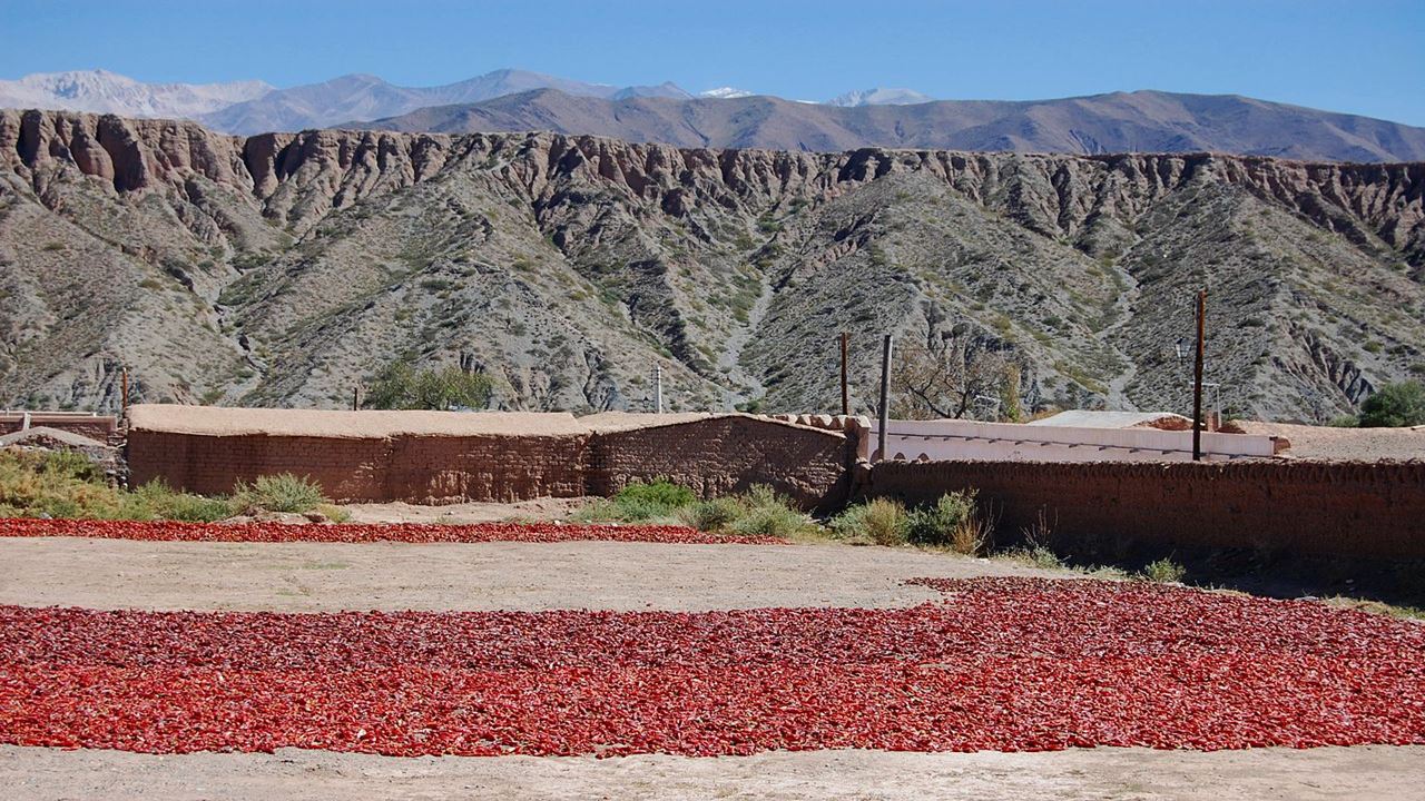 Excursion To Cachi (11)