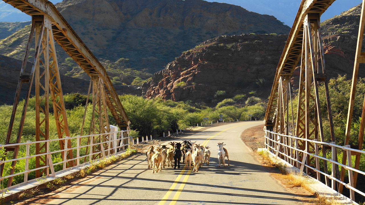 Excursion To Cafayate (10)