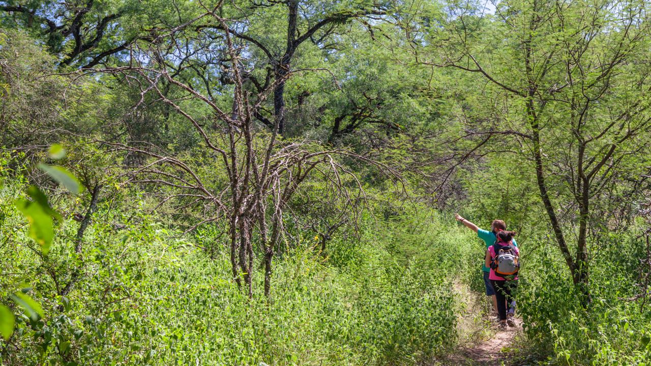 Private Tour To Tunita Ancasti (5)