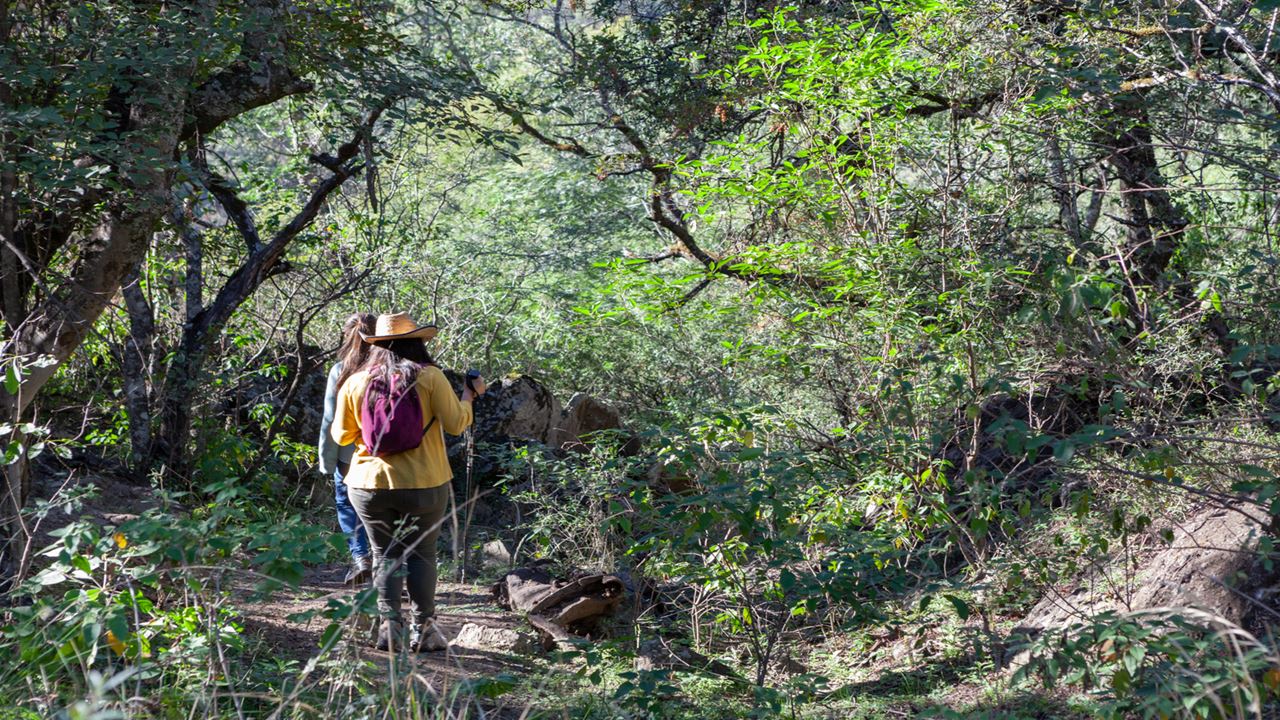 Private Tour To Tunita Ancasti (0)