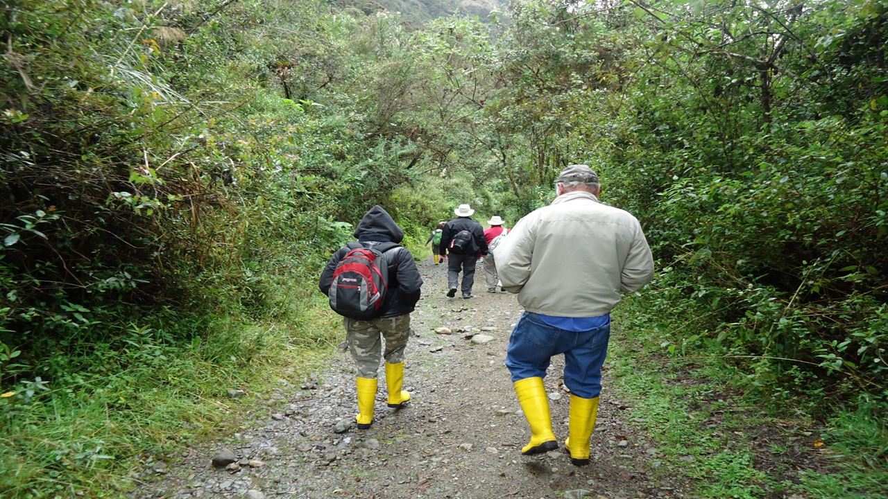 Excursão Ao Parque Nacional De Cajas foto 3