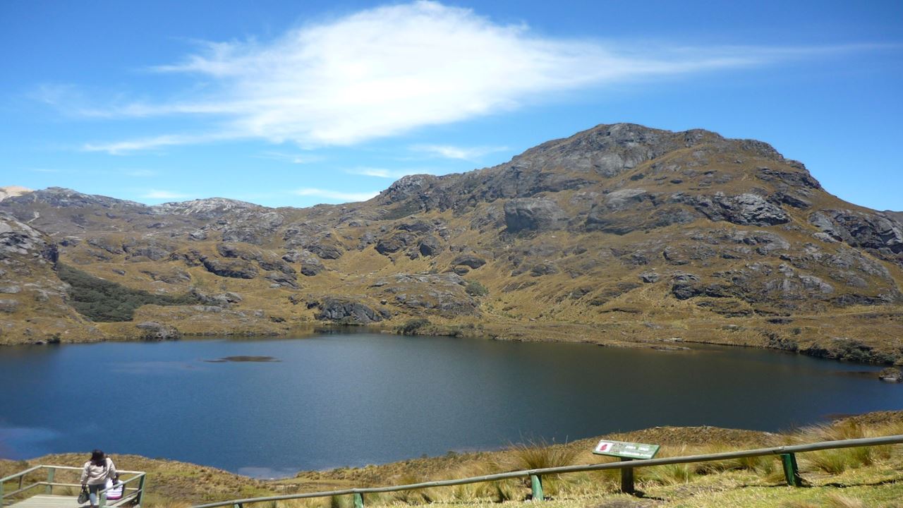Excursão Ao Parque Nacional De Cajas foto 2