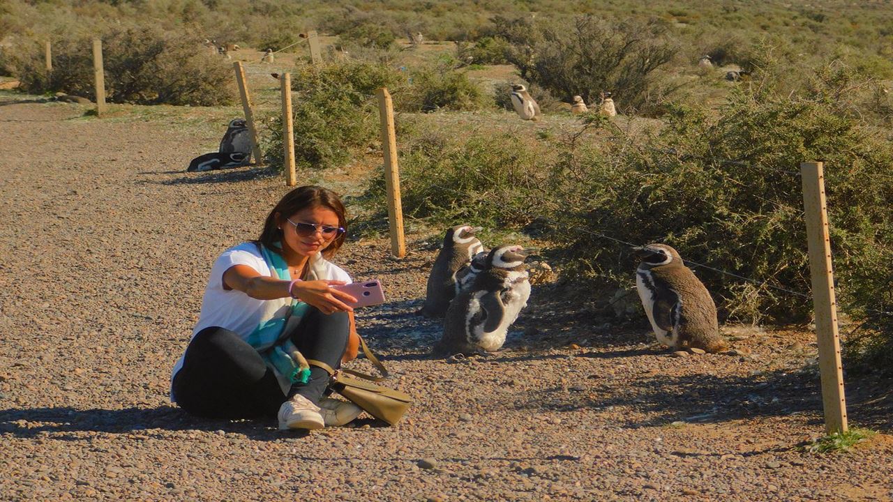Excursion To Punta Tombo In Puerto Madryn For Cruise Passengers (3)