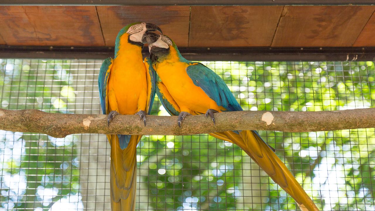 Excursión Al Parque De Las Aves foto 5