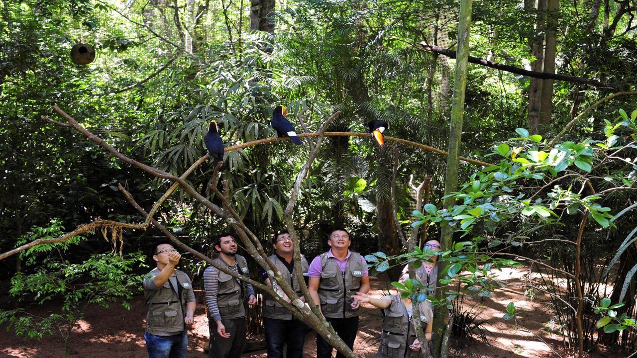 Excursión Al Parque De Las Aves foto 4