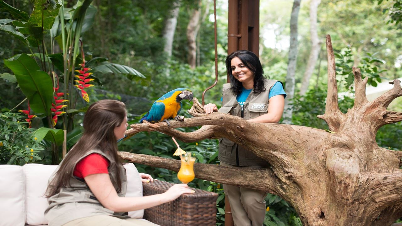 Excursión Al Parque De Las Aves foto 2