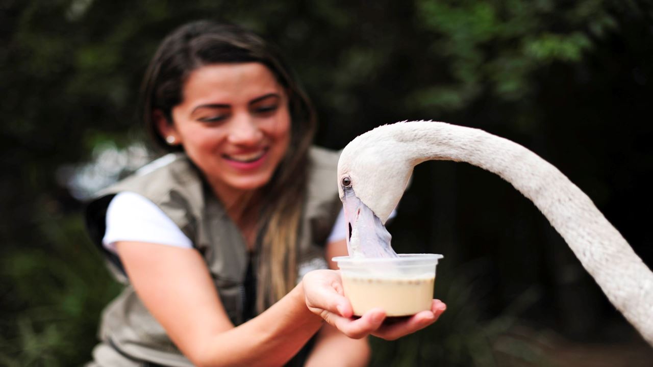 Excursión Al Parque De Las Aves foto 3