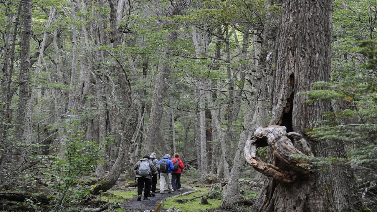 Private Tour: National Park (3)