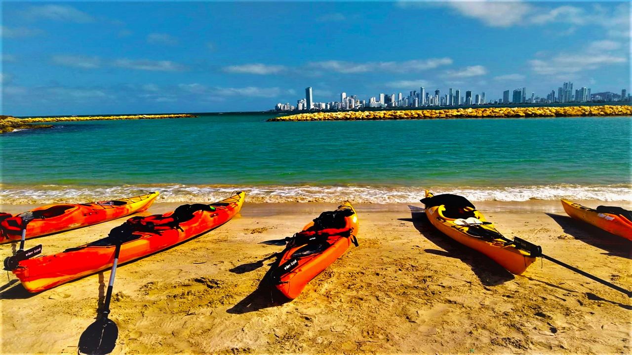 Passeio De Caiaque Em Punta Arena (0)