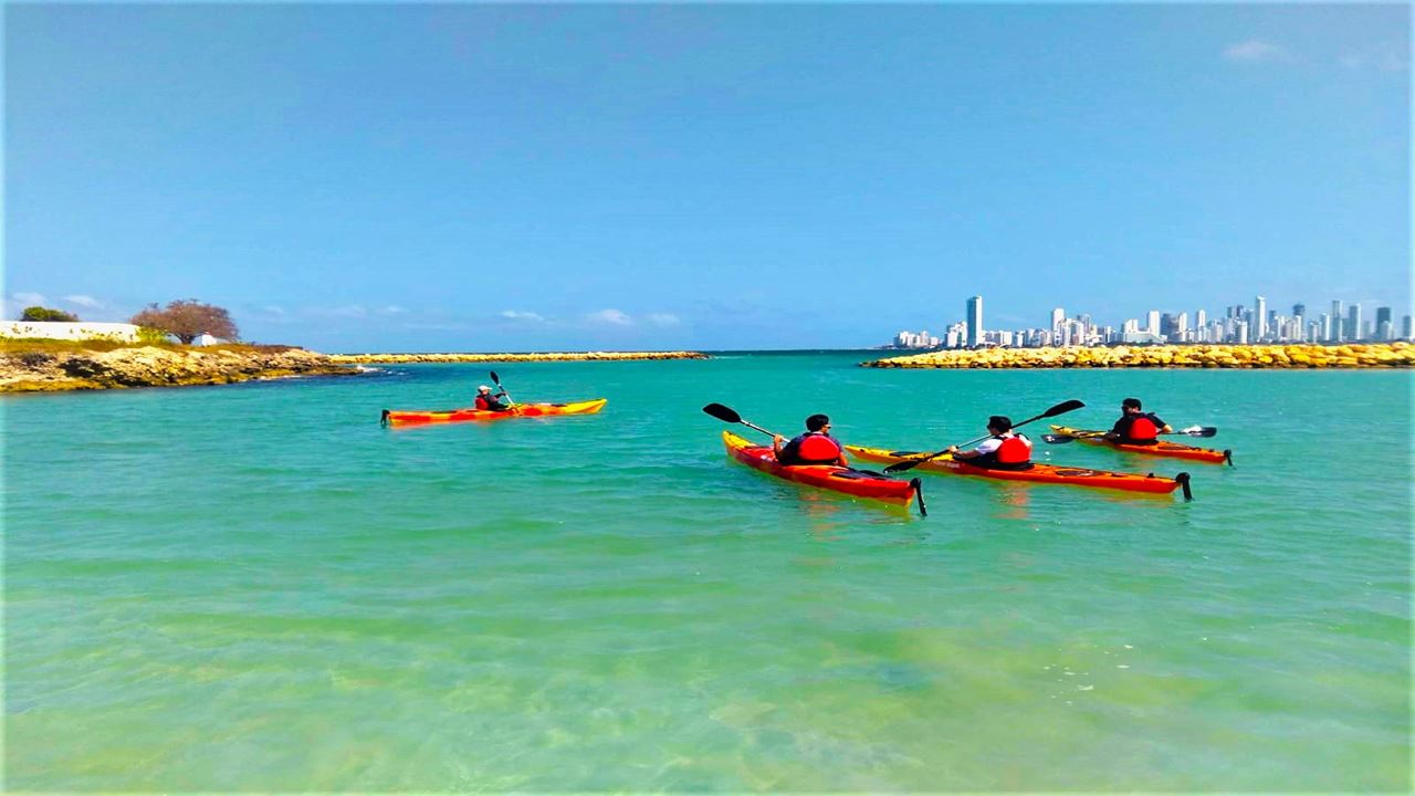 Passeio De Caiaque Em Punta Arena (4)