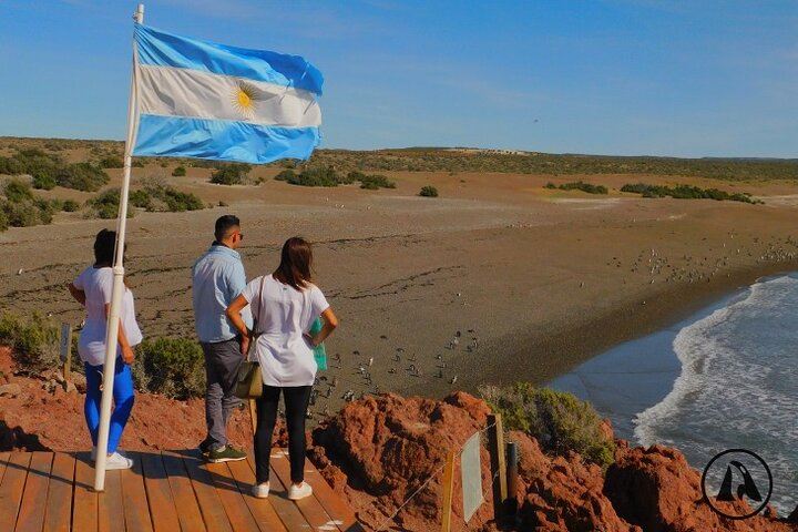 Excursão Punta Tombo Com Ilha Escondida Em Puerto Madryn (6)