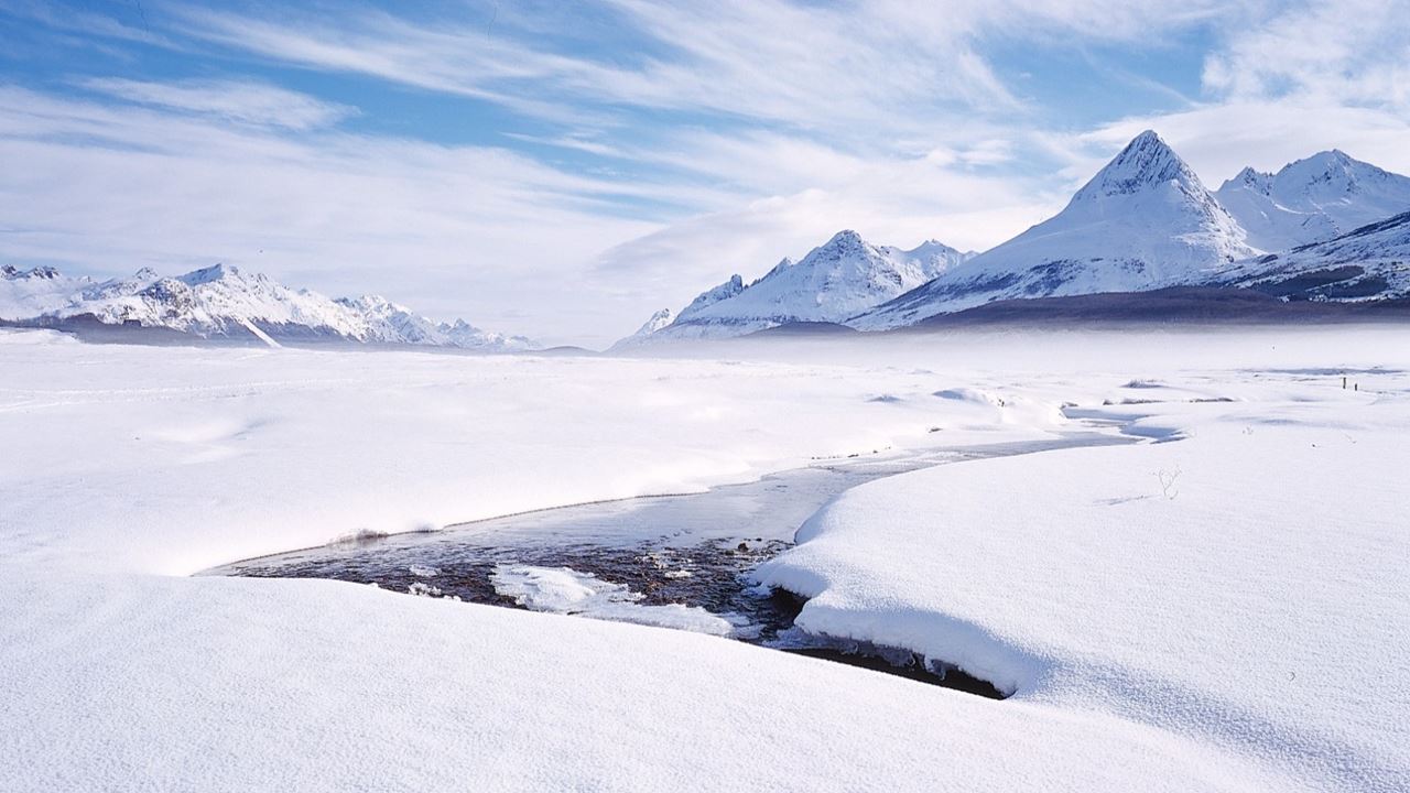 Antarctic Experience (10)