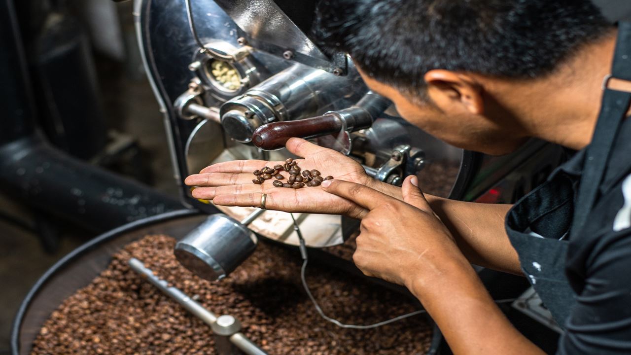 Experiencia Cafetera En Santander foto 4