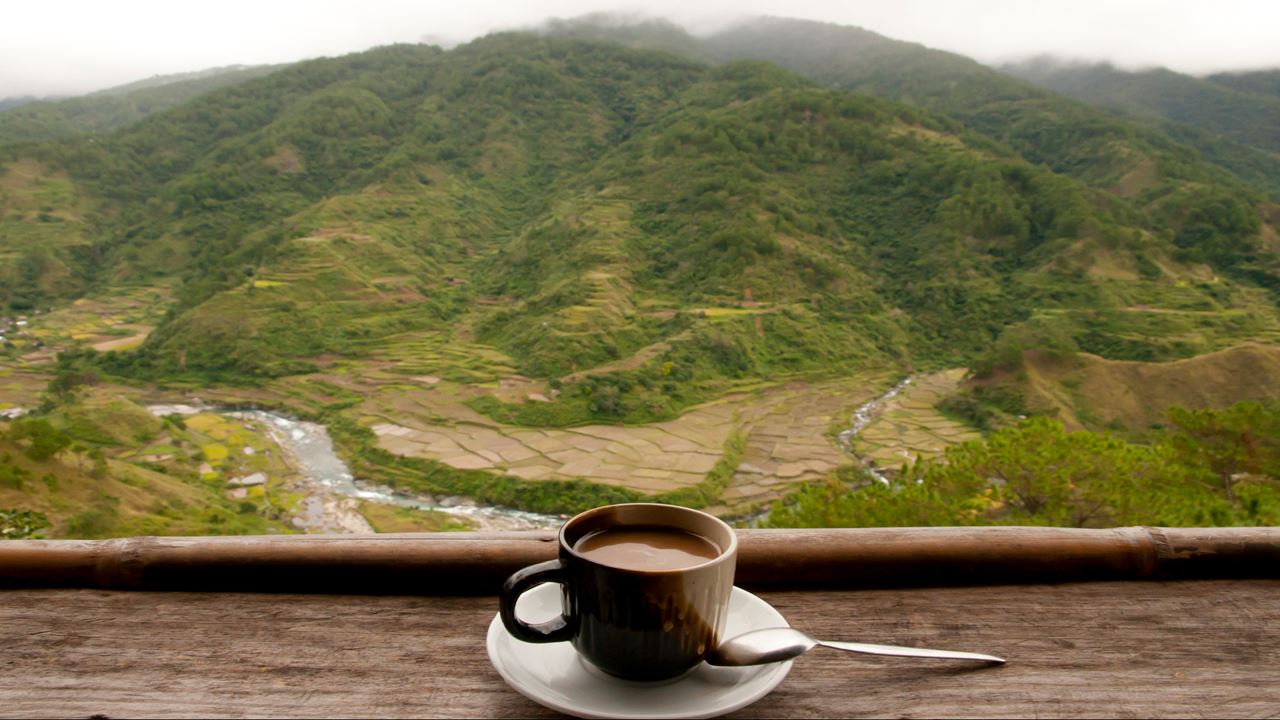 Experiencia Cafetera En Santander foto 3