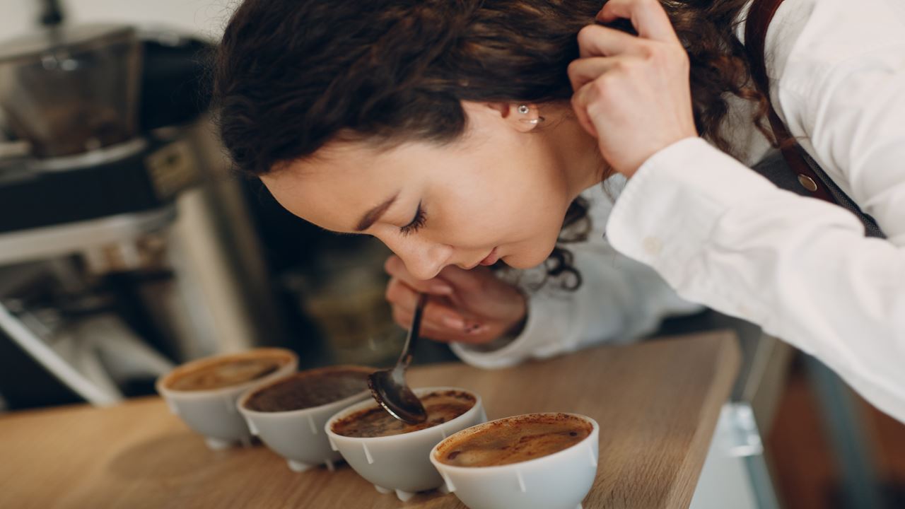 Experiencia Cafetera En Santander foto 2