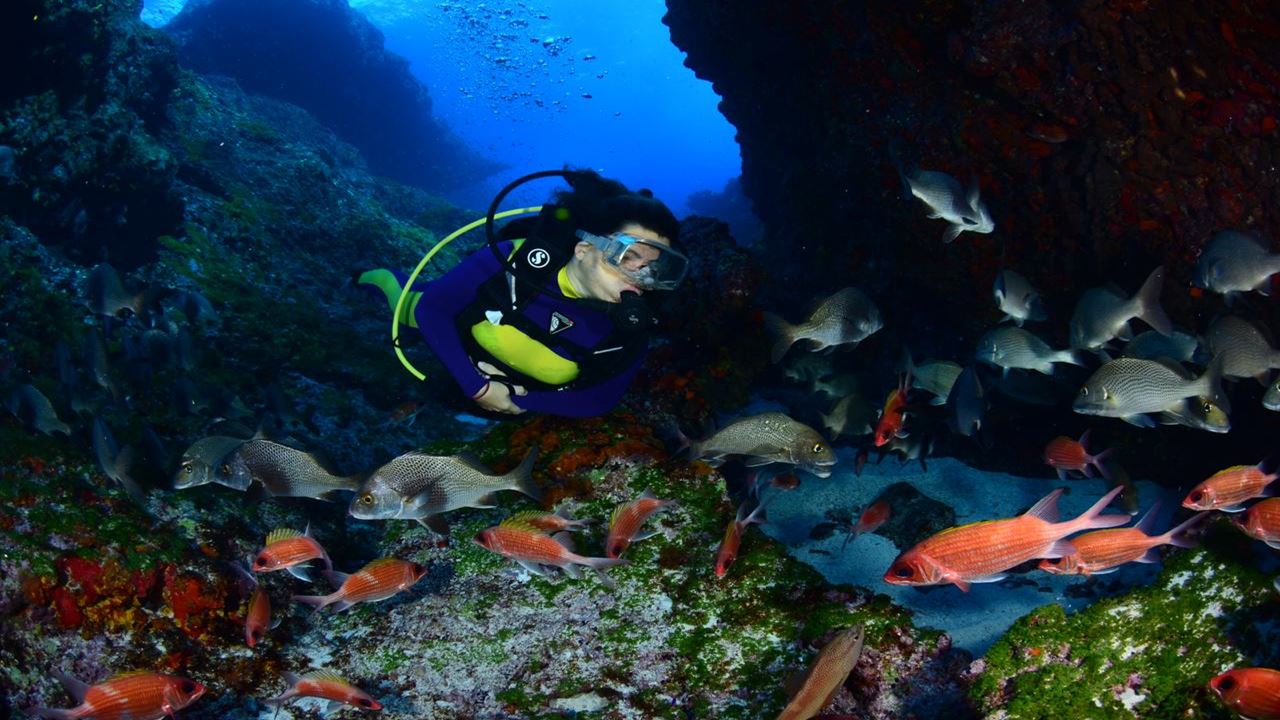 Diving Experience foto 6