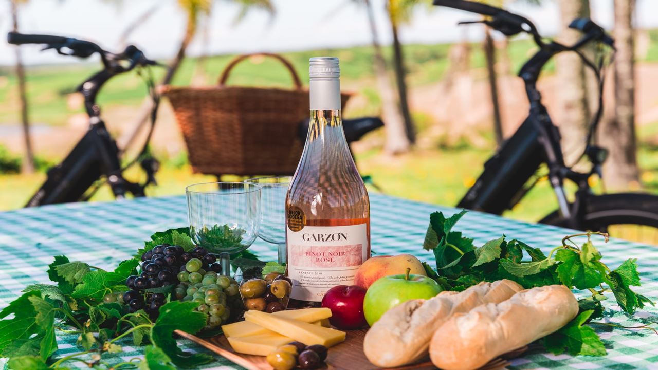 Picnic Experience At Garzon Winery foto 1