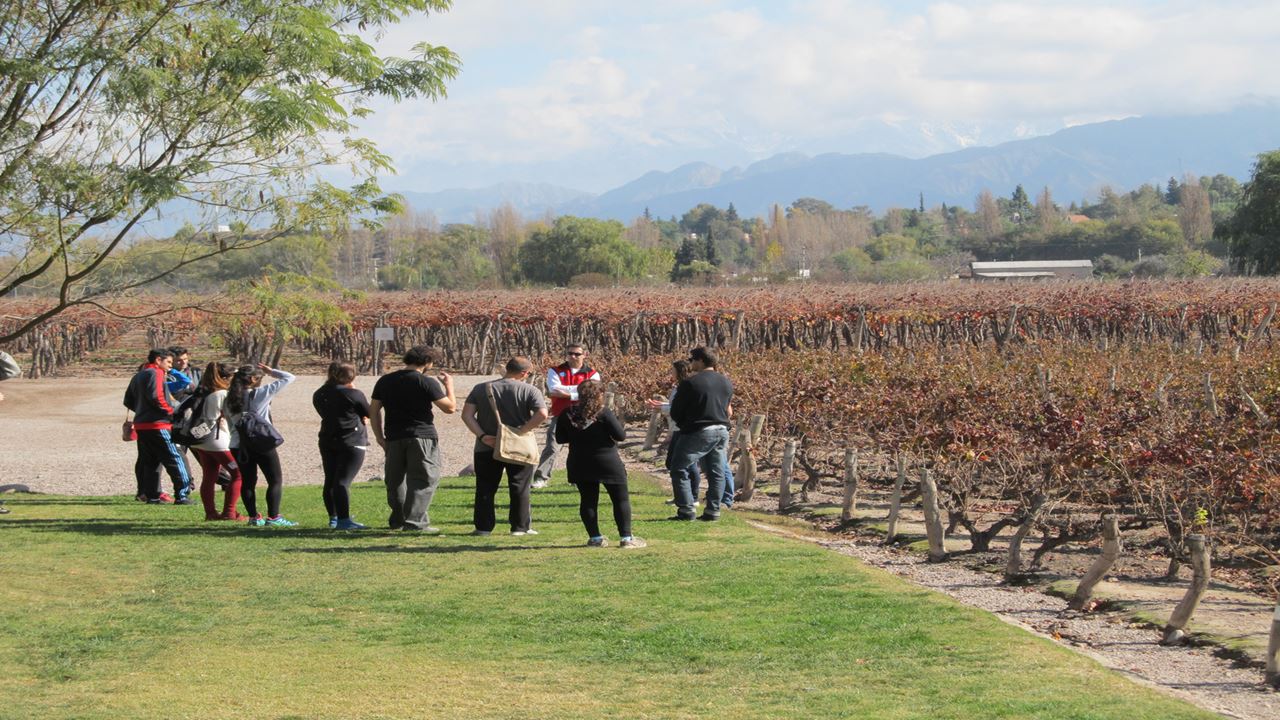 Luján De Cuyo Wine Experience – Small Groups (1)