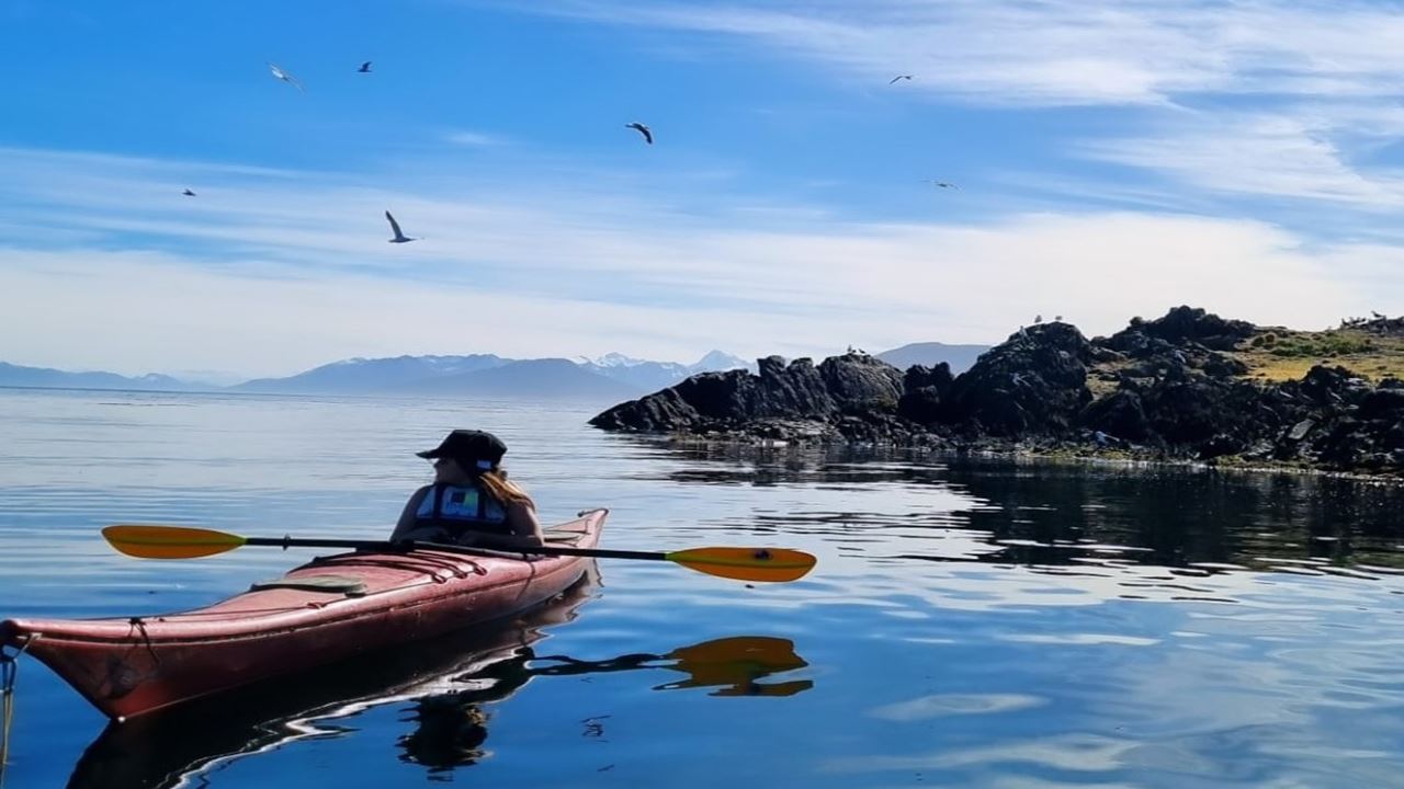 Kayak Experience In Ushuaia (2)