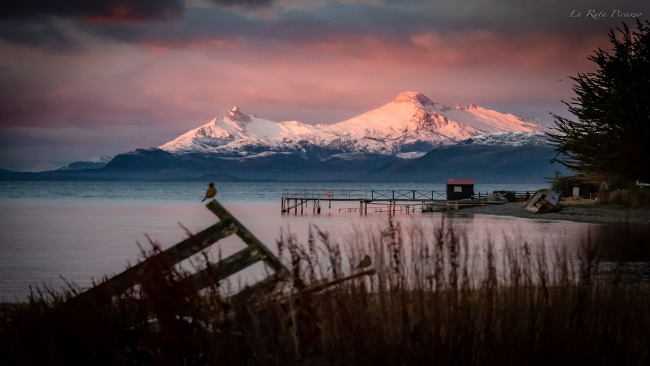 Experience At A Patagonian Ranch: Shearing And Roasting foto 7