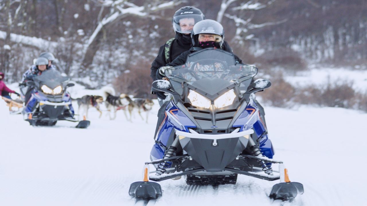 Experiência De Inverno De Dia Inteiro Com Huskies, Raquetes De Neve E Moto De Neve (2)
