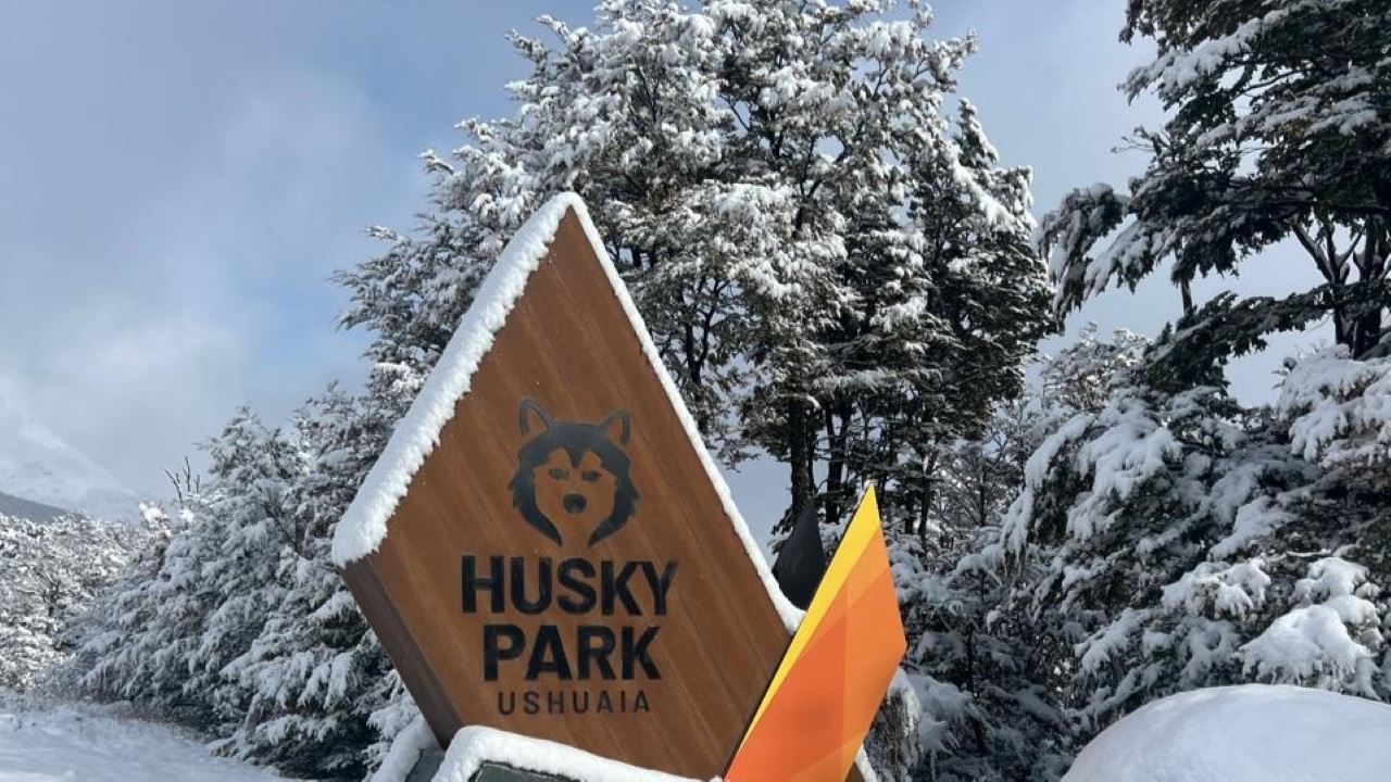 Experiência De Inverno De Dia Inteiro Com Huskies, Raquetes De Neve E Moto De Neve (3)
