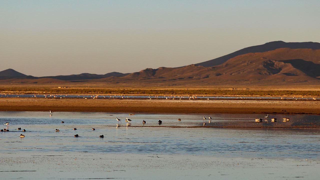 Laguna De Los Pozuelos Experience foto 4
