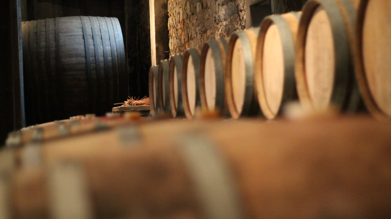 Experiencia Maridaje En Bodega Spinoglio (1)